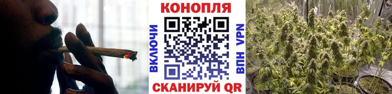 Бошки Шишки план  Купить где  Калачинск 